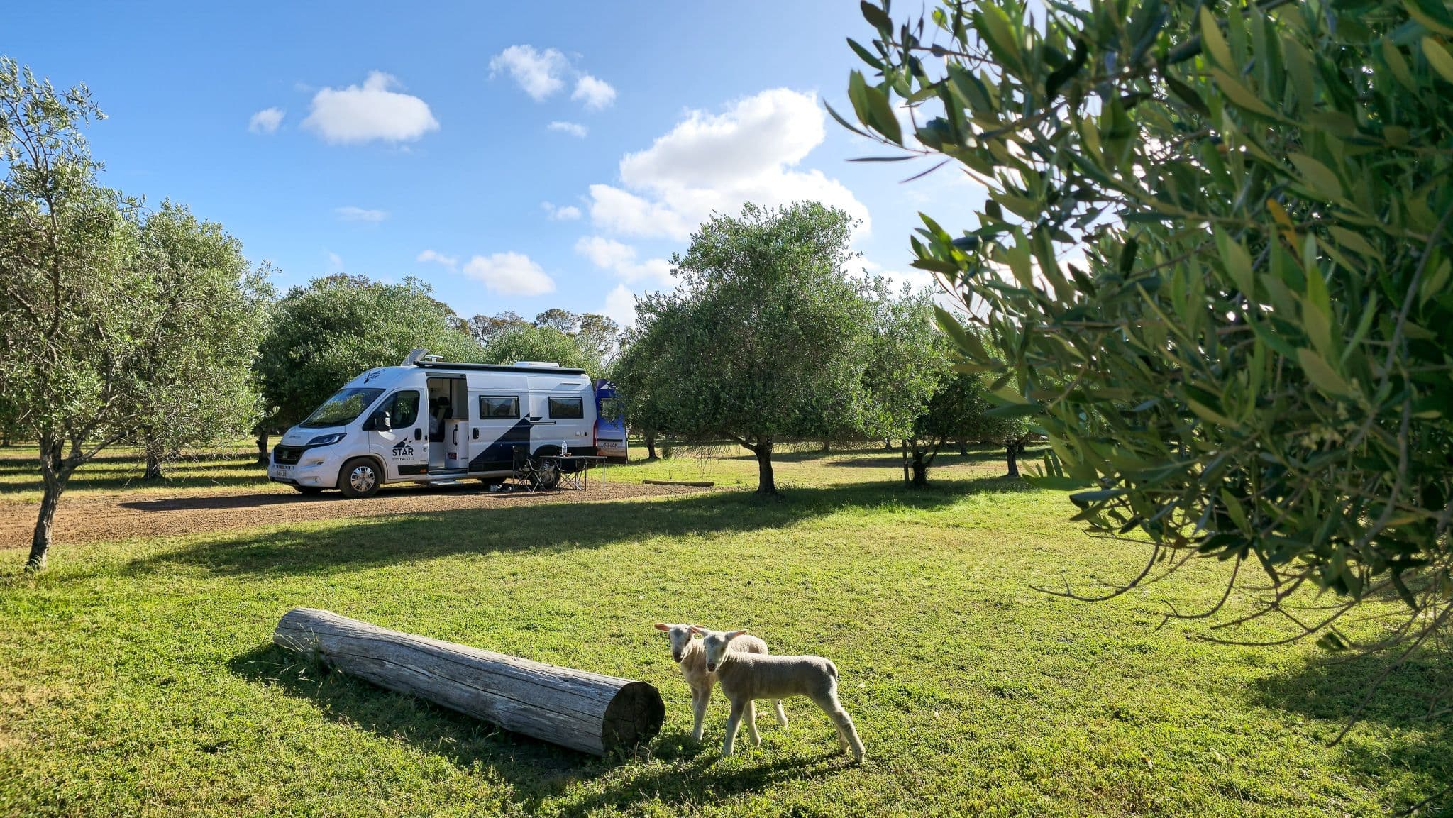 Backpackwereld-Olive Hill Farm - Margaret River -AU.jpg