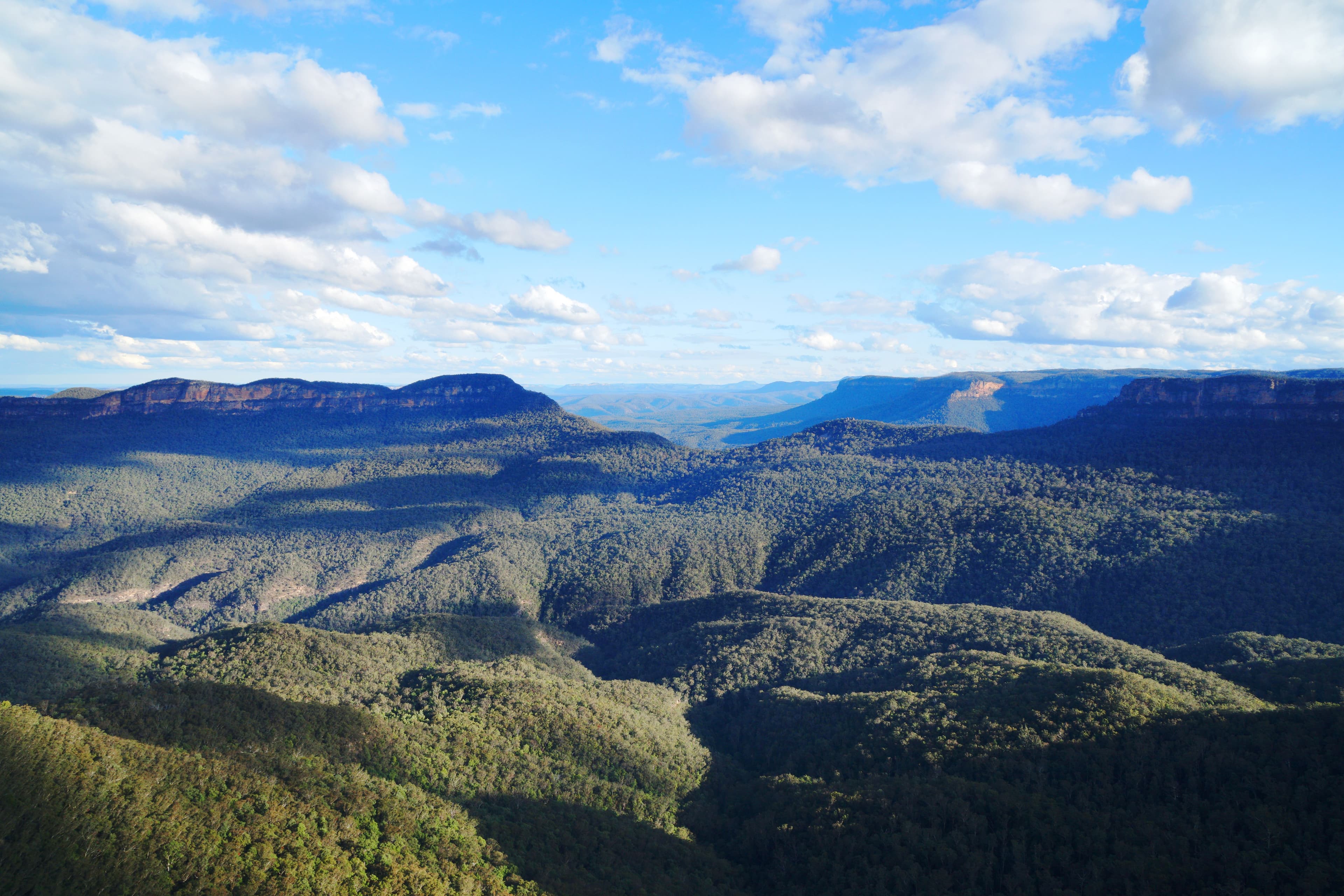 Panoramic view of Blue Mountains National Park with its iconic blue-tinged haze and expansive eucalyptus forests, under a bright blue sky, highlighting the region's breathtaking natural beauty.