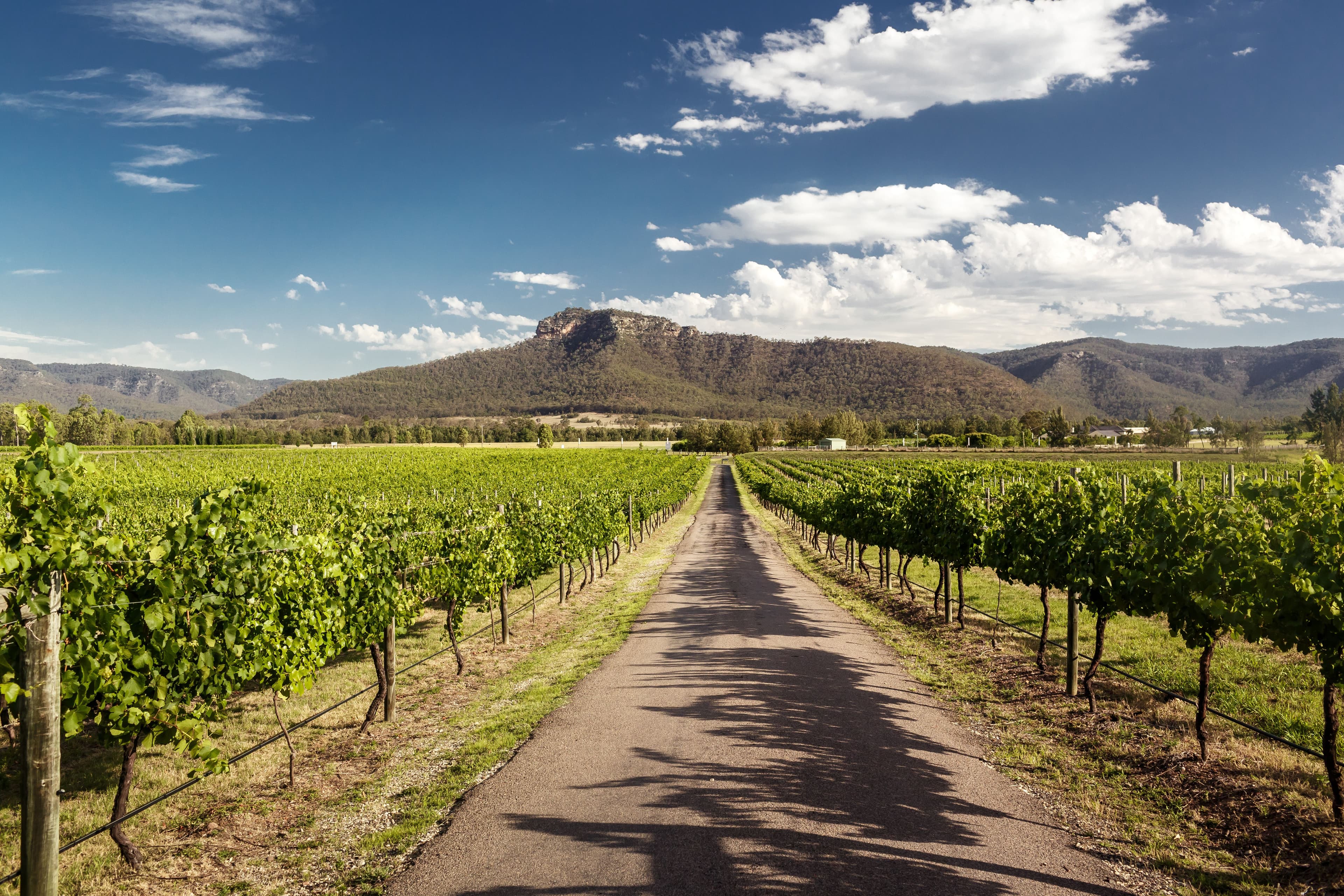 Hunter Valley.jpeg