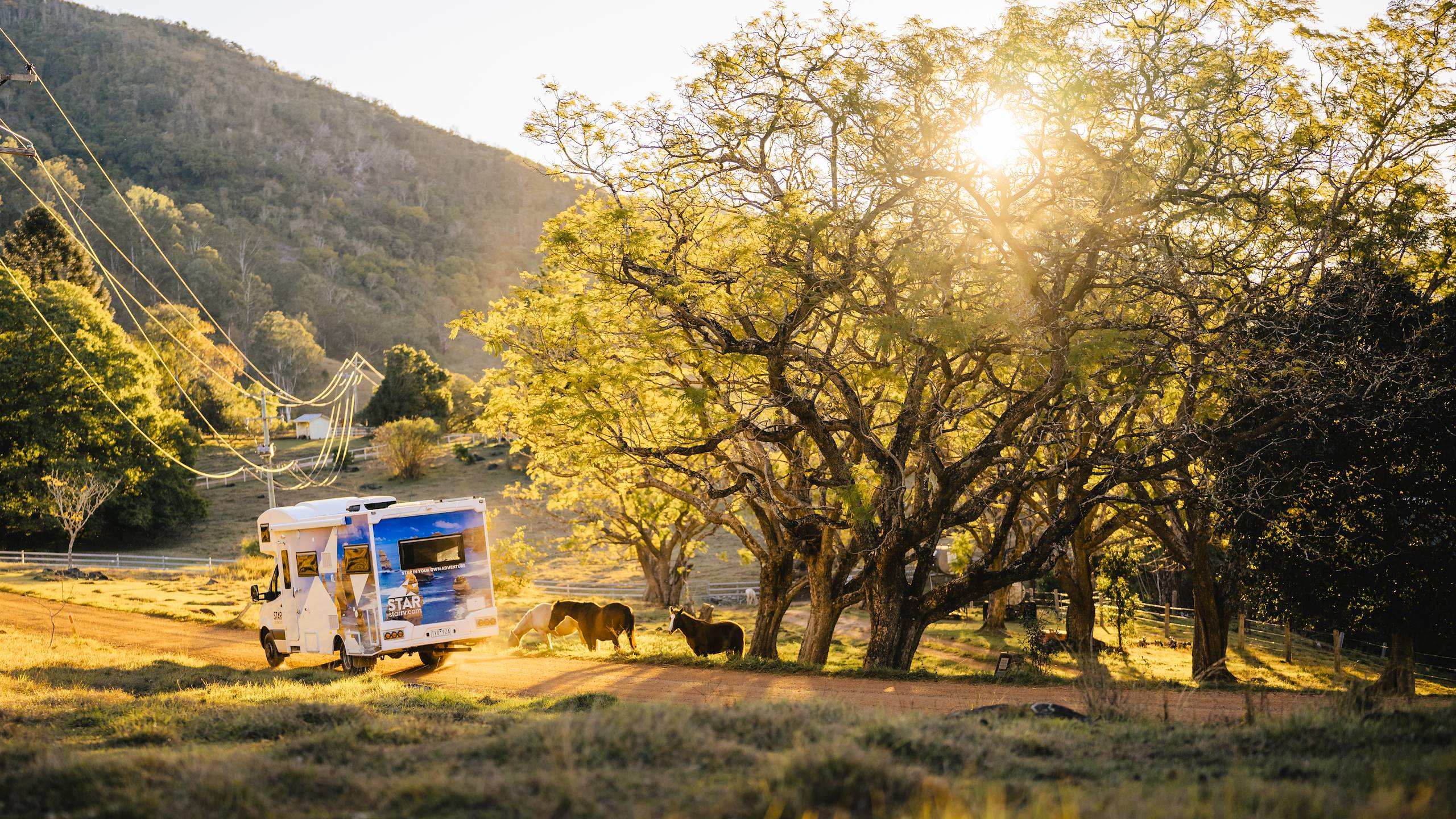 Polaris 6 berth motorhome driving on unsealed road past horses