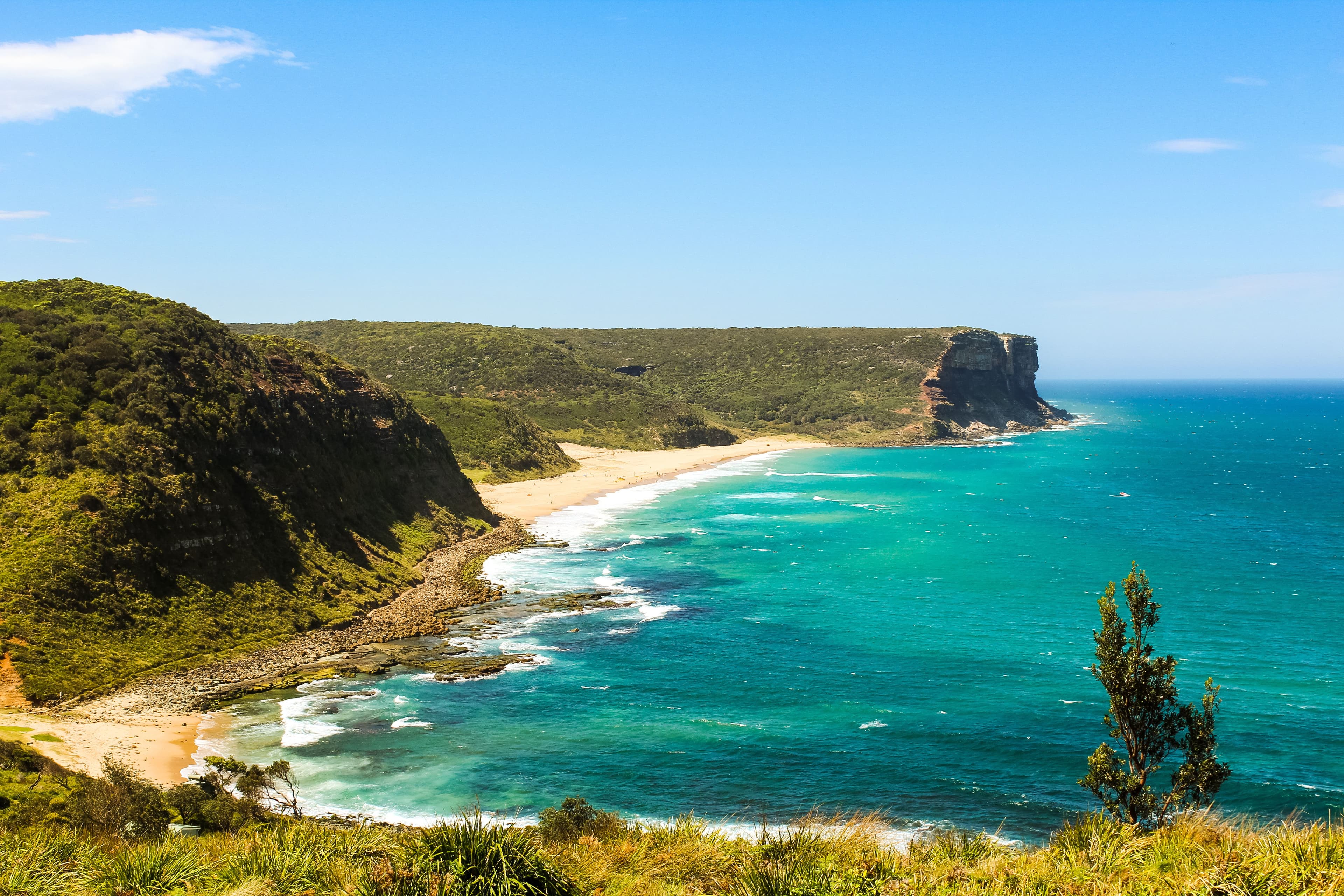 Royal National Park.jpeg
