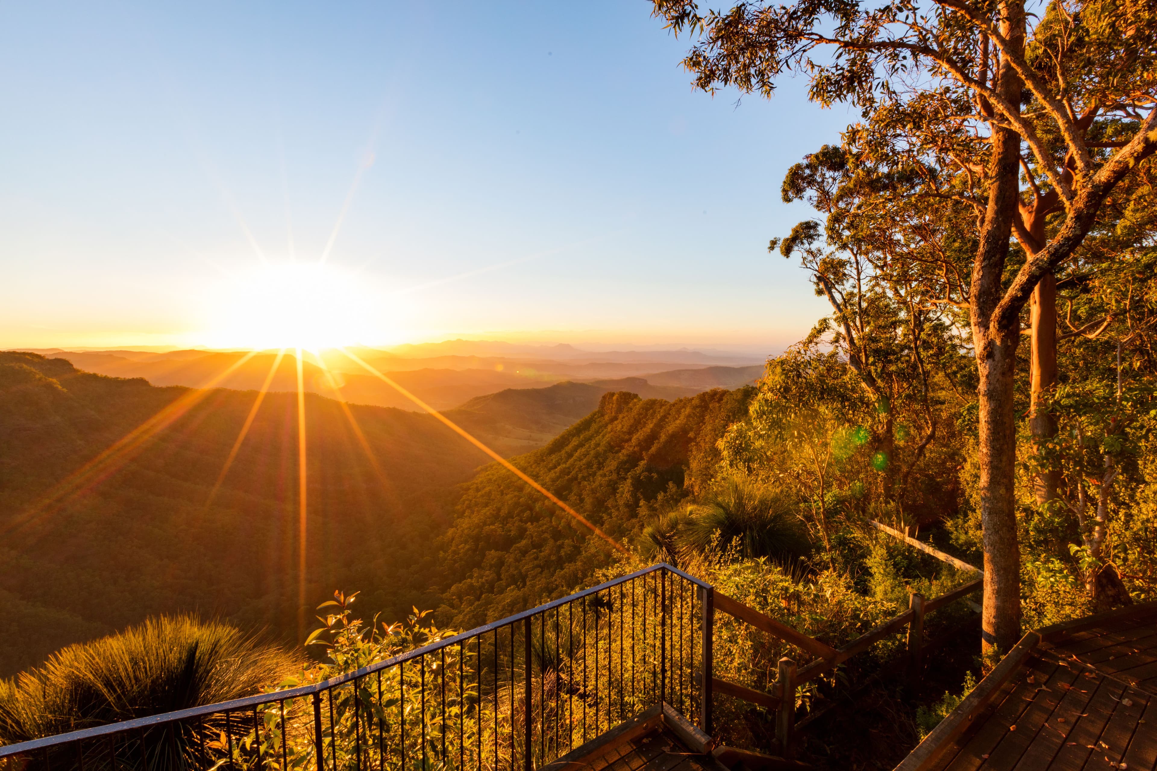 Tamborine Mountain.jpeg