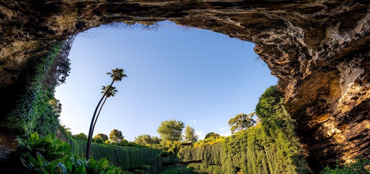 A dramatic view from inside the Umpherston Sinkhole garden in Mt Gambier