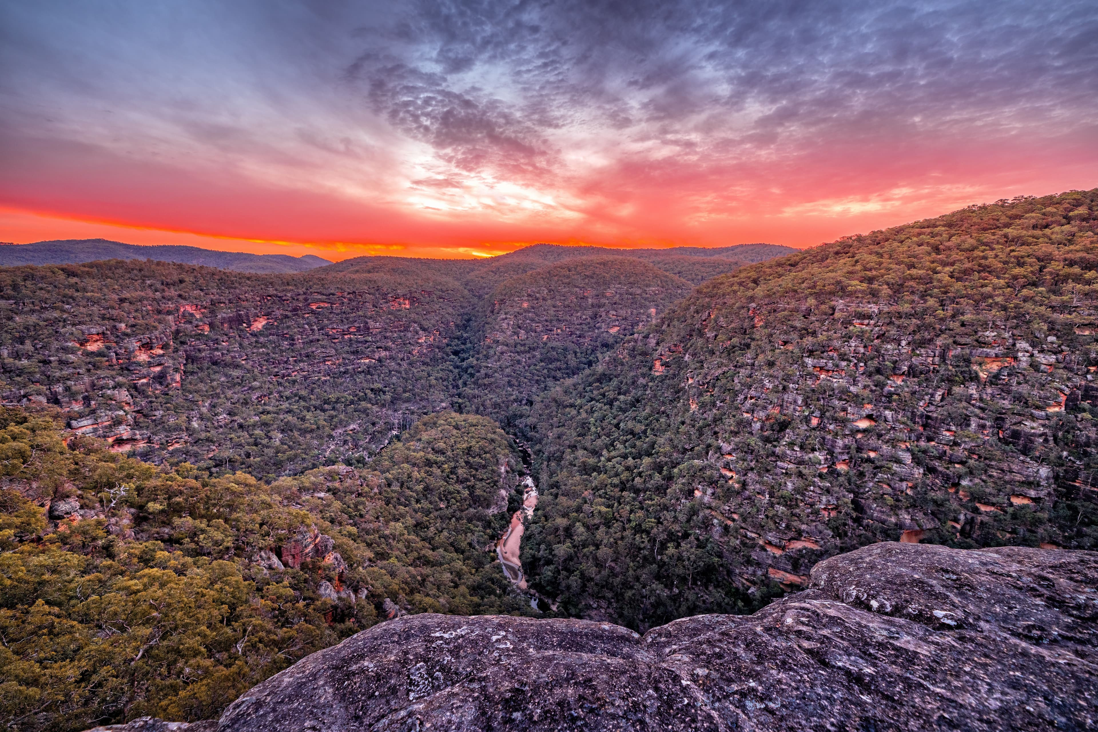 Wollemi National Park.jpeg
