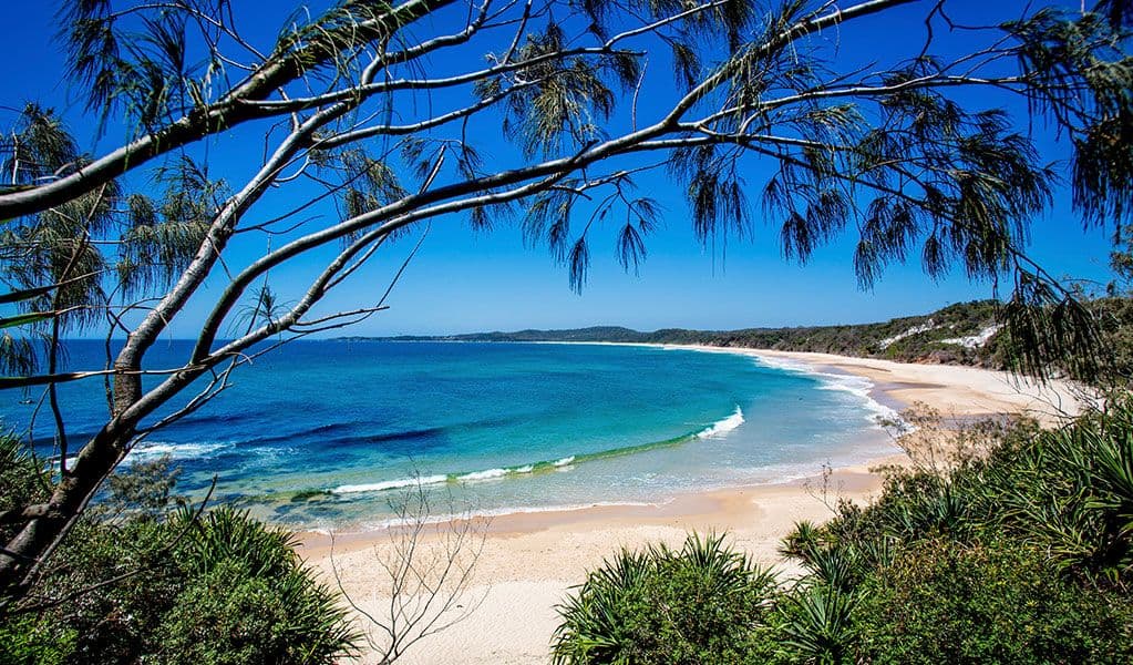 wooli beach illaroo campground nsw