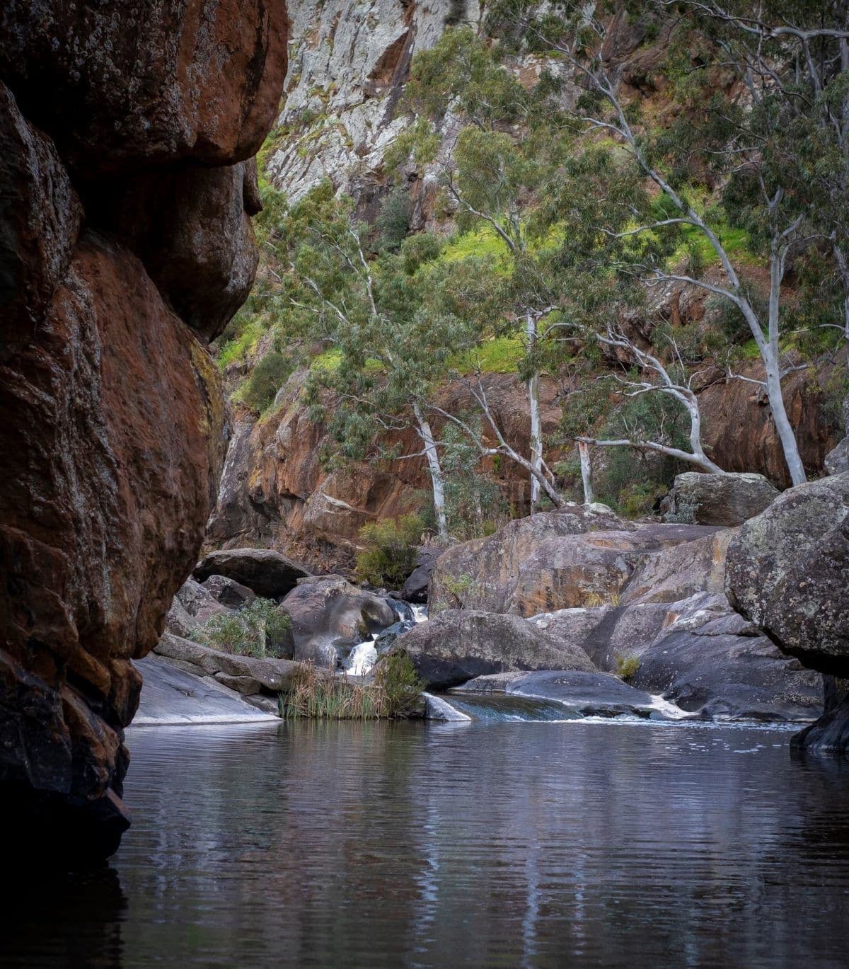 pink-gum-campground-onkaparinga-river-national-park.jpg
